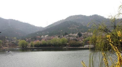 十梅庵今日爆料了吗最新消息,今日热点事件深度解析”