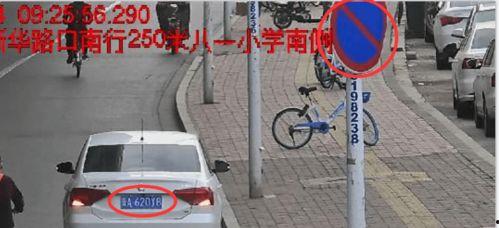 石家庄交警爆料最新,多起交通违法行为引发关注