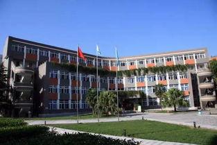 成都七中最新爆料,揭秘校园风云再起背后的故事