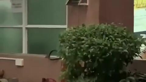 台山吃瓜最新事件爆料新闻,最新爆料揭露惊人内幕